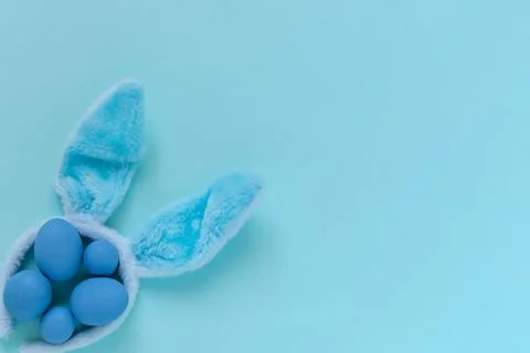 Easter eggs placed in nest of blue bunny ears Stock Photos
