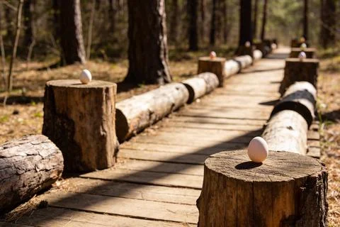 Easter eggs placed on tree stumps along a wooden path in a forest Stock Photos