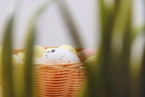 Easter eggs in plate in grass Stock Photos
