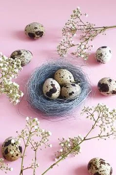 Easter eggs. Quail eggs in a nest on a pink background. Stock Photos
