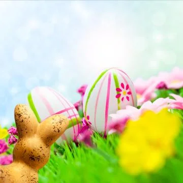Easter eggs with rabbit Stock Photos