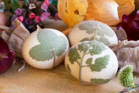 Easter eggs ready to be dyed with onion peels Stock Photos