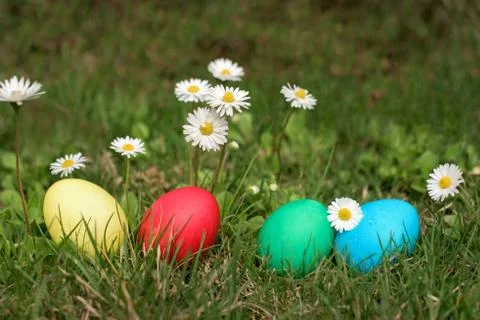 Easter eggs in a row on the grass Stock Photos