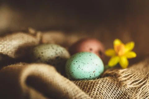 Easter eggs rustic background Foto stock