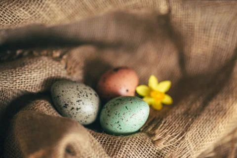 Easter eggs rustic background Stock Photos