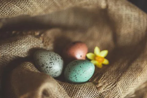 Easter eggs rustic background Foto stock