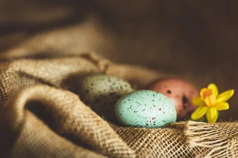 Easter eggs rustic background Stock Photos