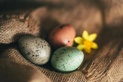 Easter eggs rustic background Stock Photos
