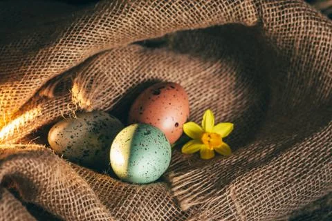 Easter eggs rustic background Foto stock