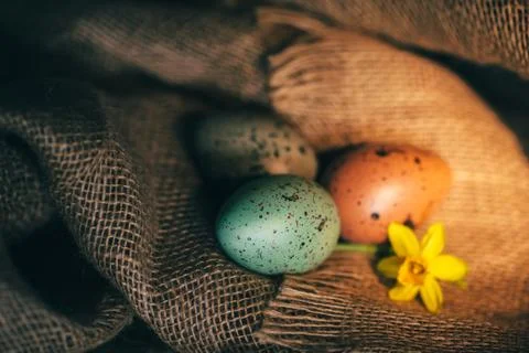 Easter eggs rustic background Foto stock
