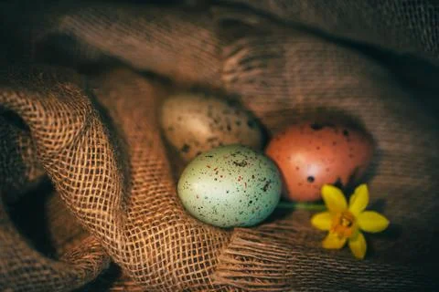 Easter eggs rustic background Stock Photos