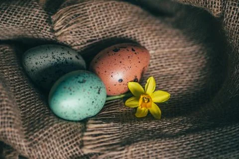 Easter eggs rustic background Stock Photos
