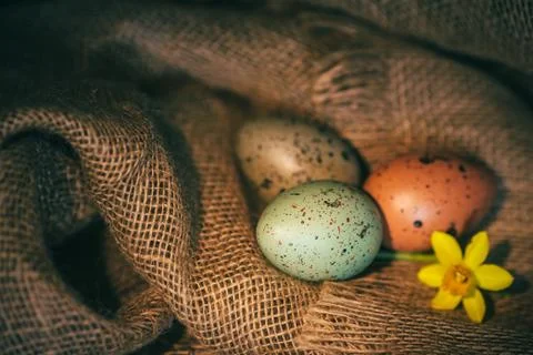 Easter eggs rustic background Stock Photos