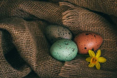 Easter eggs rustic background Foto stock