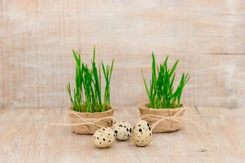 Easter eggs on a rustic wooden background, Stock Photos