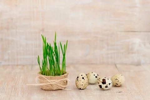 Easter eggs on a rustic wooden background Stock Photos
