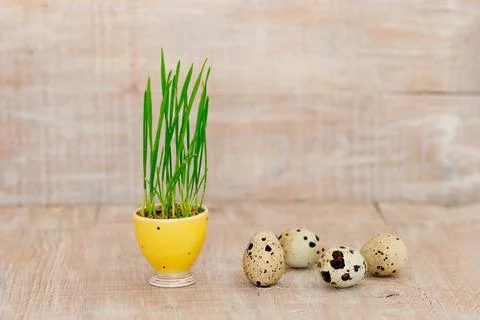 Easter eggs on a rustic wooden background Stock Photos