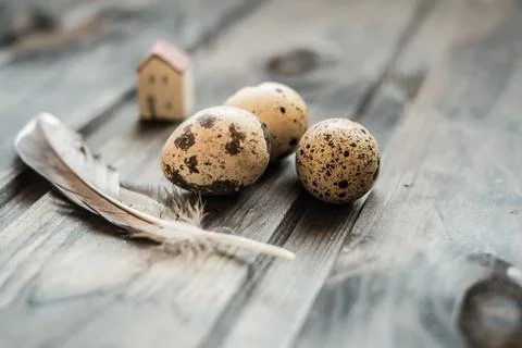 Easter eggs, small house and a feather on wooden background with a space fo.. Stock Photos