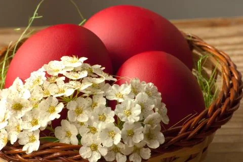 Easter eggs with spring flowers Stock Photos