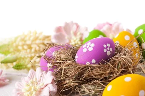 Easter Eggs with Spring Flowers Stock Photos