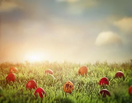 Easter eggs in spring grass. Easter hunt. Easter design background Stock Photos