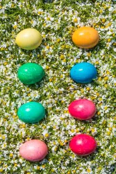 Easter eggs in Spring grass Stock Photos