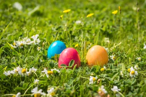Easter eggs in Spring grass Stock Photos