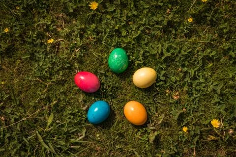 Easter eggs in Spring grass Stock Photos