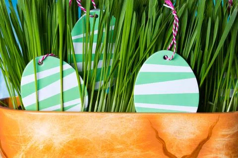 Easter eggs in spring green grass. Foto stock