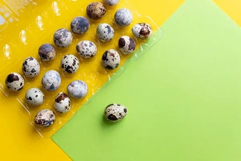 Easter eggs. spring holiday composition top view. Creative quail egg layout on Stock-Fotos