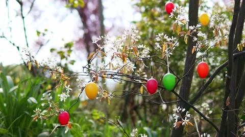 Easter eggs in spring nature 4k 30fps video 스톡 동영상 270085406