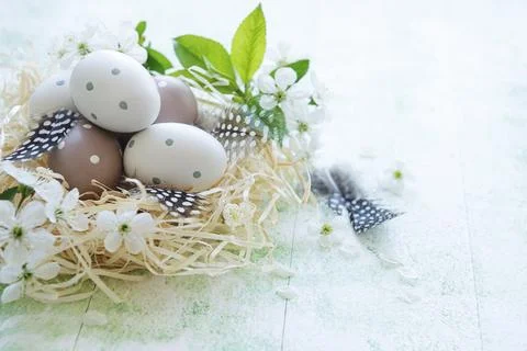 Easter eggs in straw nest Stock Photos