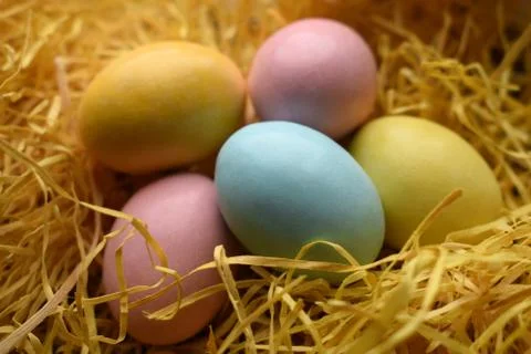 Easter  eggs on straw Stock Photos