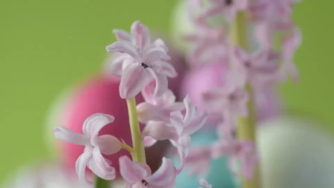 Easter eggs in straw spin on green background Stock Footage 148287867