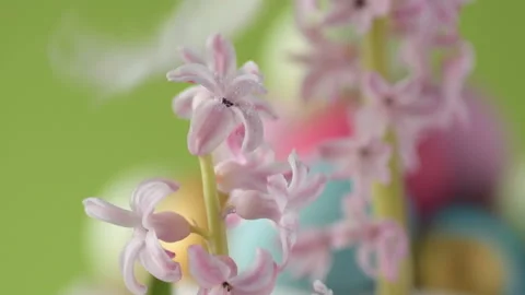 Easter eggs in straw spin on green background Stock Footage 148287882