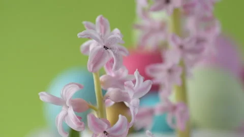 Easter eggs in straw spin on green background Stock Footage 148287904