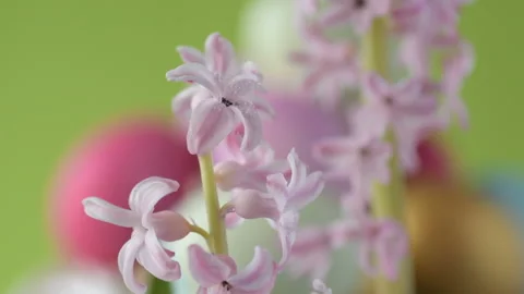 Easter eggs in straw spin on green background Video stock 148287950