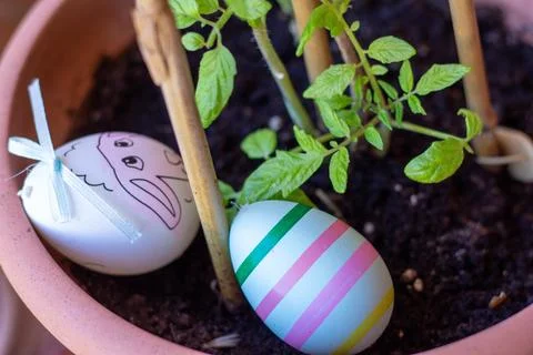 Easter eggs symbolizing spring and new growth in a pot Stock Photos