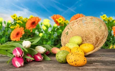 Easter eggs on a table with basket tulips and a flower background Stock Photos