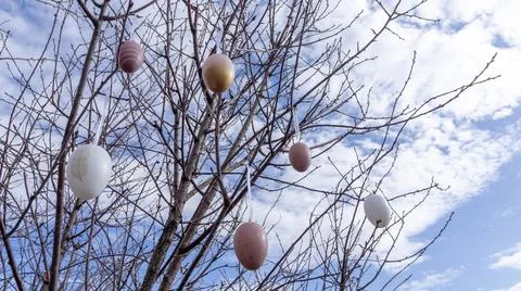 Easter eggs on a tree against a blue sky with white clouds Fotos Stock