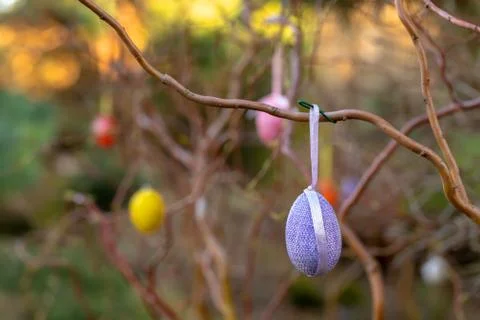 Easter eggs on tree with bokeh Stock Photos