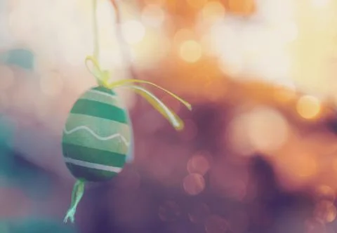 Easter eggs on tree with bokeh Stock Photos