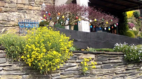 Easter eggs on tree branches. Stock Footage 36999180