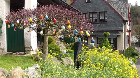 Easter eggs on tree branches. Stock Footage 37027167