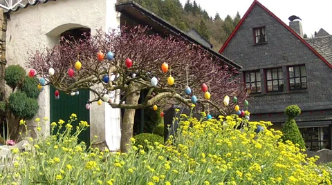Easter eggs on tree branches. Stock Footage 37029180