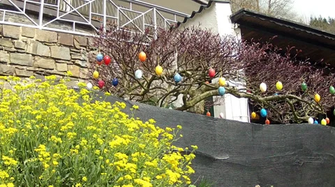 Easter eggs on tree branches. Stock Footage 37219901