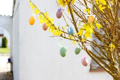 Easter eggs on a tree at Easter Stock-Fotos