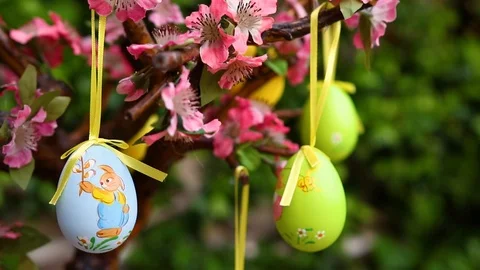 Easter eggs on tree with flowers Stock Footage
