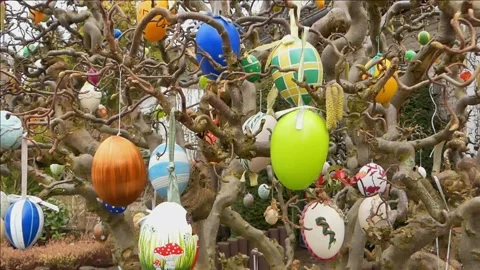 Easter Eggs On The Tree Stock Footage 150636610