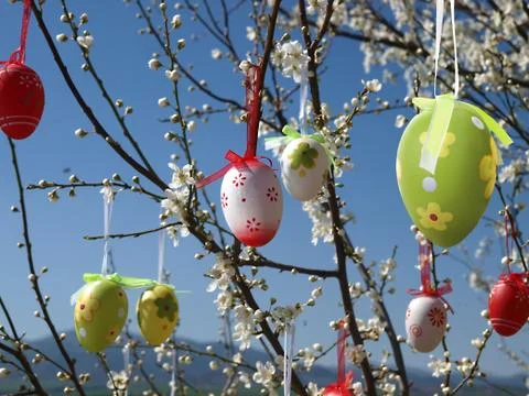 Easter eggs on tree Stock Photos